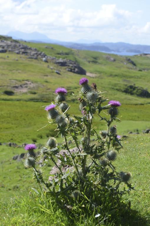 הוילה דירנס Highland Holiday House מראה חיצוני תמונה